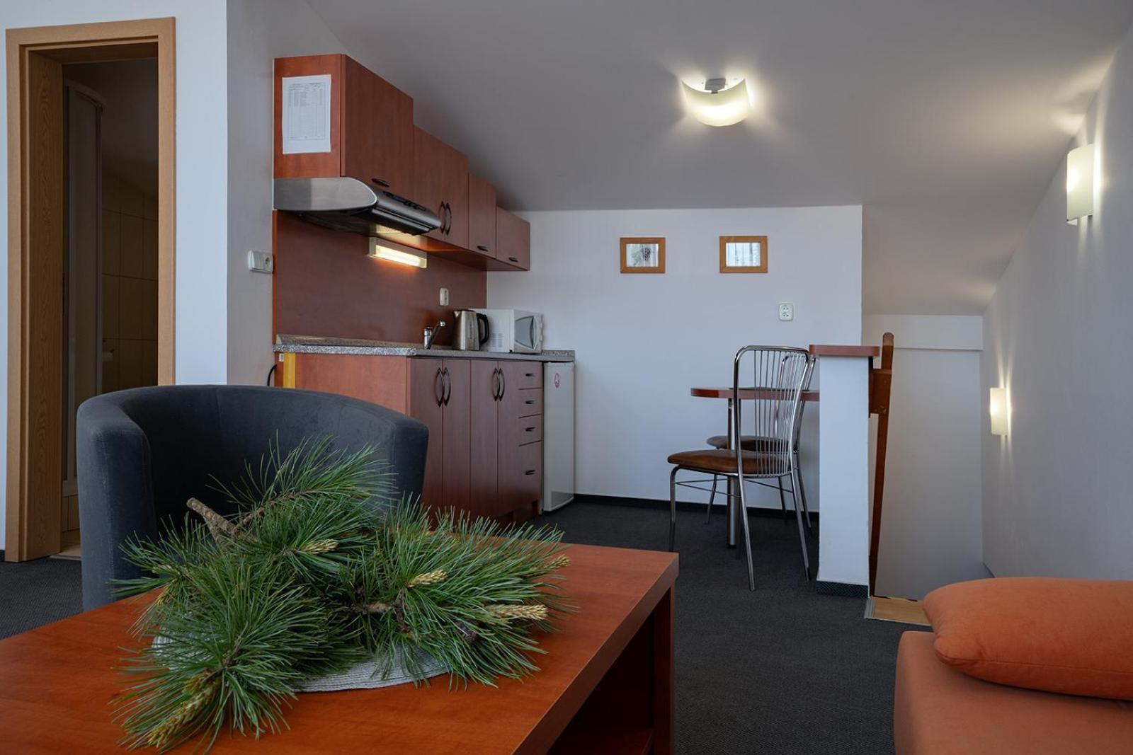 Studia Sprava Tanapu Apartment Strbske Pleso Luaran gambar